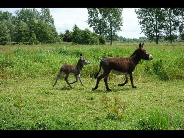 La Ferme De Tigny Villa Екстериор снимка